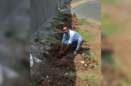 Tree Plantation - At Karjan STP